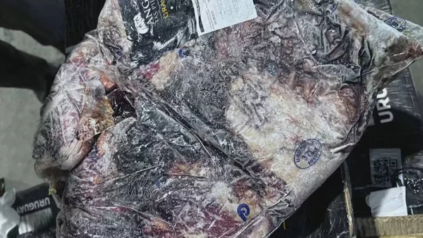 imagem colorida carne podre que ficou submersa rs