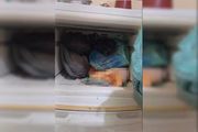 Parte do corpo dentro da geladeira