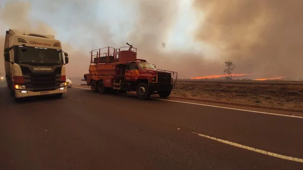 goias incendio br 060