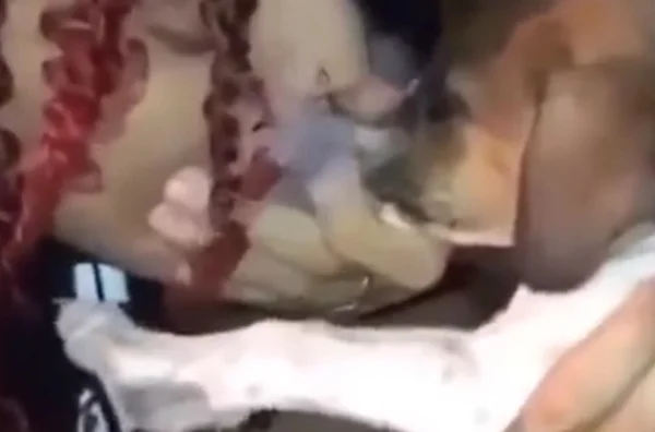 Influencer grava vídeo forçando cachorro a inalar maconha. Assista