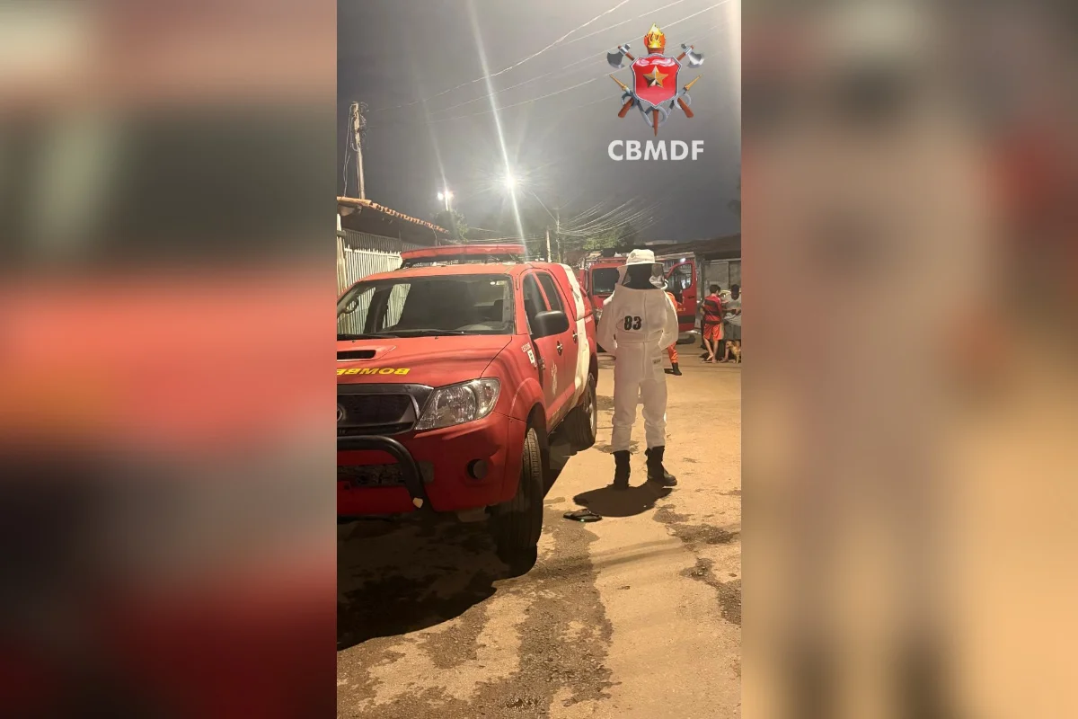 Bombeiros retiram enxame de abelhas em residência em Taguatinga (DF) Bombeiros retiram enxame de abelhas em residência em Taguatinga (DF)