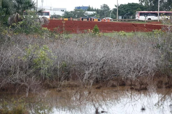 Obras do Trevo de Triagem Norte ameaçam nascentes e corredor ecológico