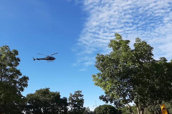 Vídeo: PCDF presta homenagens a policiais vítimas da Covid-19 no DF