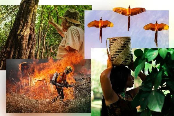 UnB de Planaltina apresenta fotografias de parques ecológicos do DF