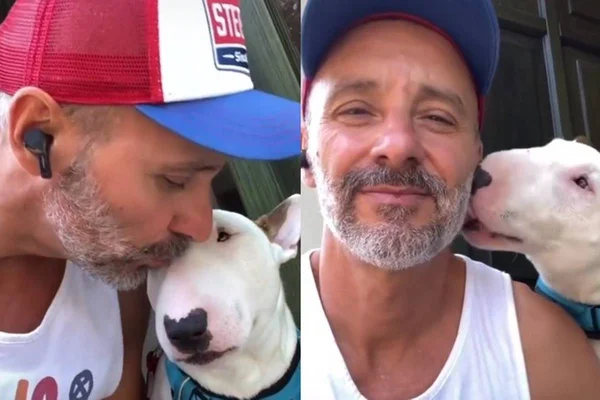 Cachorro recebendo beijo de tutor no TikTok