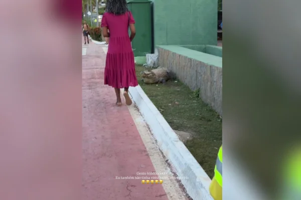 Imagem colorida, mulher toma susto ao quase esbarrar em jacaré no Parque das Águas- Metrópoles