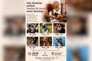 Quem vai cuidar deles? Evento busca adoção de cães de paciente terminal - imagem 2 Quem vai cuidar deles? Evento busca adoção de cães de paciente terminal - imagem 2