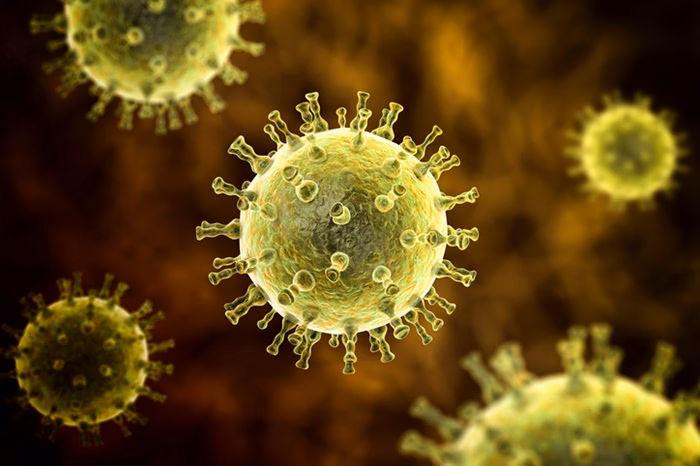 Foto-Herpes-zoster-virus-5 Vacina contra herpes-zóster reduz risco de AVC e infarto, diz estudo