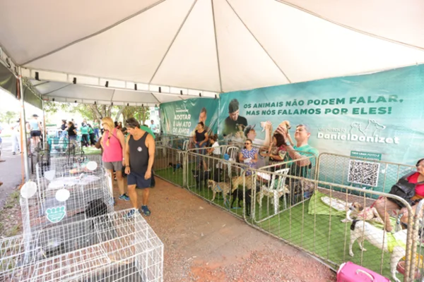 Eixão do Lazer recebe feira de adoção de animais neste domingo