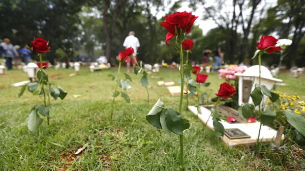 Mulher que teve o corpo queimado por companheira no DF é sepultada