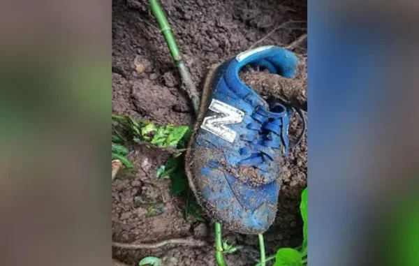 SC: adolescente é morto com cortes em cruz e depois esquartejado