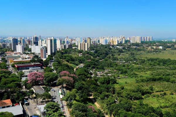 São José dos Campos - Metrópoles