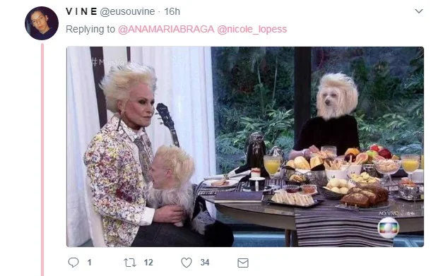 Ana Maria posta foto com erva e fãs acham que é maconha - imagem 9 Ana Maria posta foto com erva e fãs acham que é maconha - imagem 9