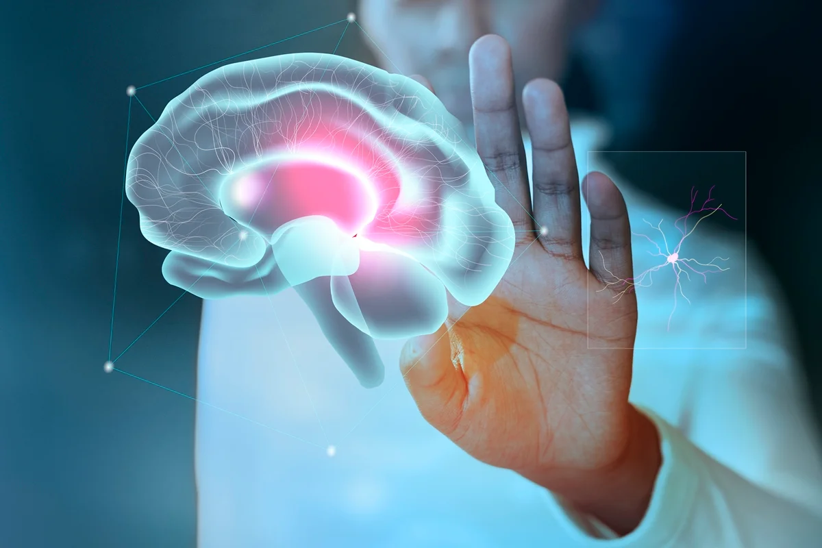 Vitamina B3 em altas doses pode ser aliada no tratamento de glioblastoma, tumor cerebral agressivo