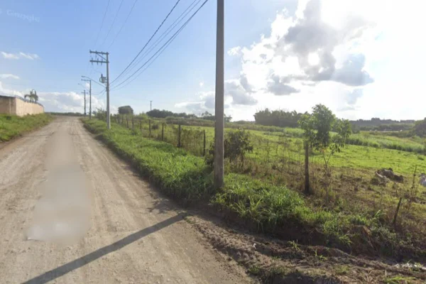 Imagem colorida de estrada de terra margeada por pasto, em dia ensolarado - Metrópoles