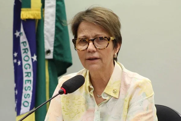 Após carta de países europeus, Mourão se reune com Salles e Tereza Cristina