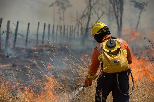 DF: estado de emergência ambiental é decretado por causa de seca