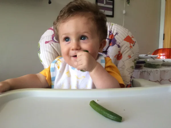 Método de introdução alimentar BLW dá mais autonomia para o bebê