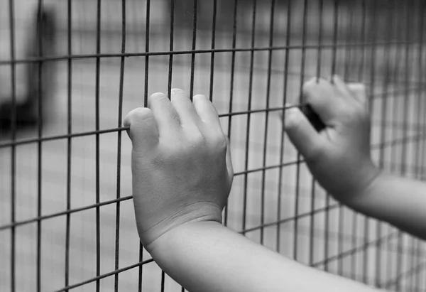 Família é sequestrada e garoto de 11 anos estaria envolvido no caso