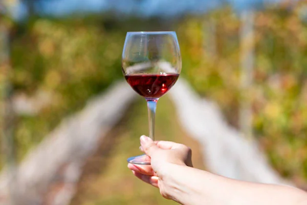Taça de vinho rosé em frente a vinhedo