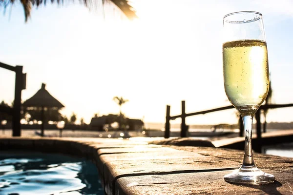 Cinco motivos para tomar vinho no verão