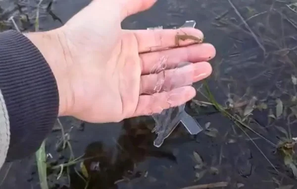 sc lago congelado
