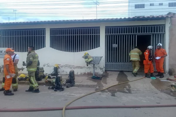 Vídeo: incêndio em casa mata coelho e periquitos no DF