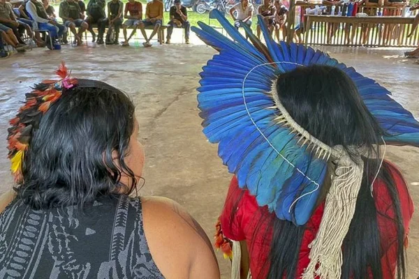Terra Indígena Alto Rio Guamá