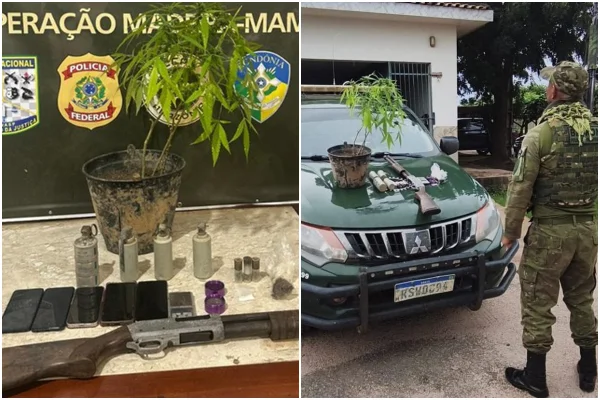 Pé de maconha, granadas, celulares, carro e policial - Metrópoles