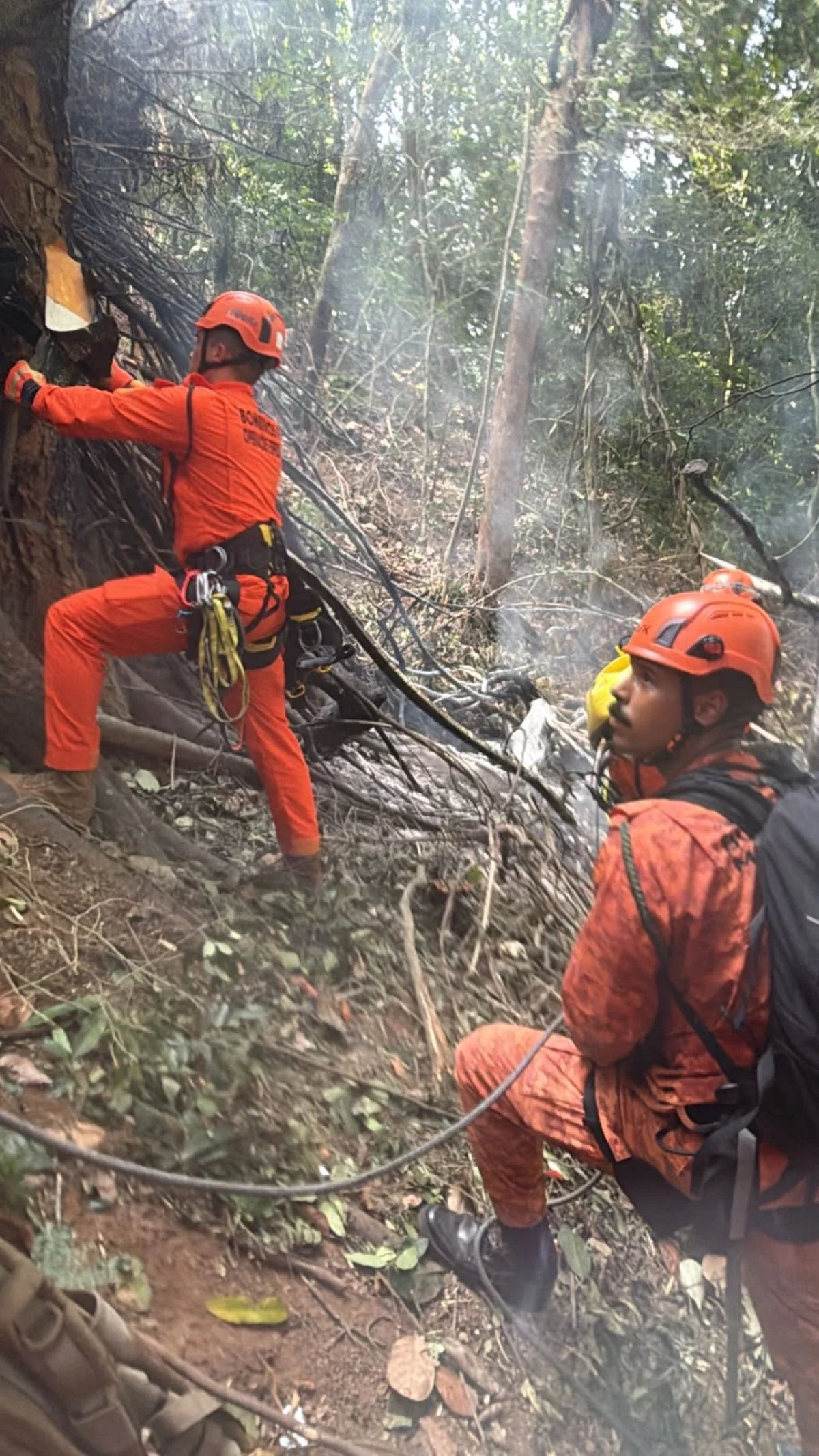 Helicóptero cai em área de mata no Rio e deixa ao menos 4 mortos - imagem 2 Helicóptero cai em área de mata no Rio e deixa ao menos 4 mortos - imagem 2
