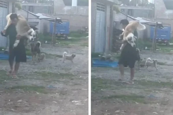 foto colorida de homem segurando cachorro no colo