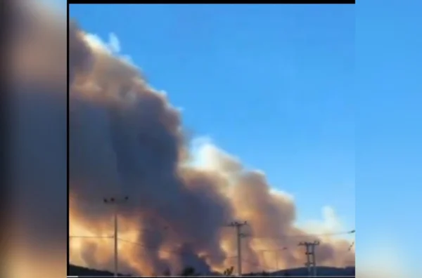 imagem colorida incendios florestais grecia