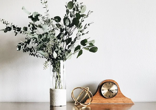 Conheça uma planta que aumenta o bem-estar e veja como usá-la no décor