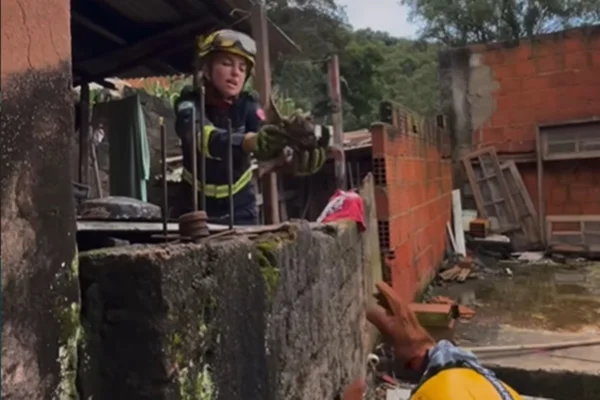 Voluntários resgatam galinhas de enchente em MG: “Também sentem medo”