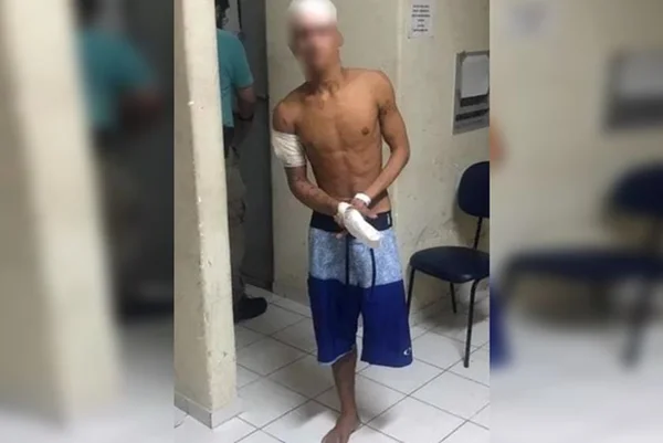 Confira seis programas gratuitos para fazer com a garotada