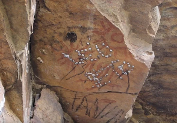 Gravuras rupestres sagradas para tribos do Xingu são destruídas