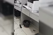 A mulher apresentava escoriações quando chegou no hospital