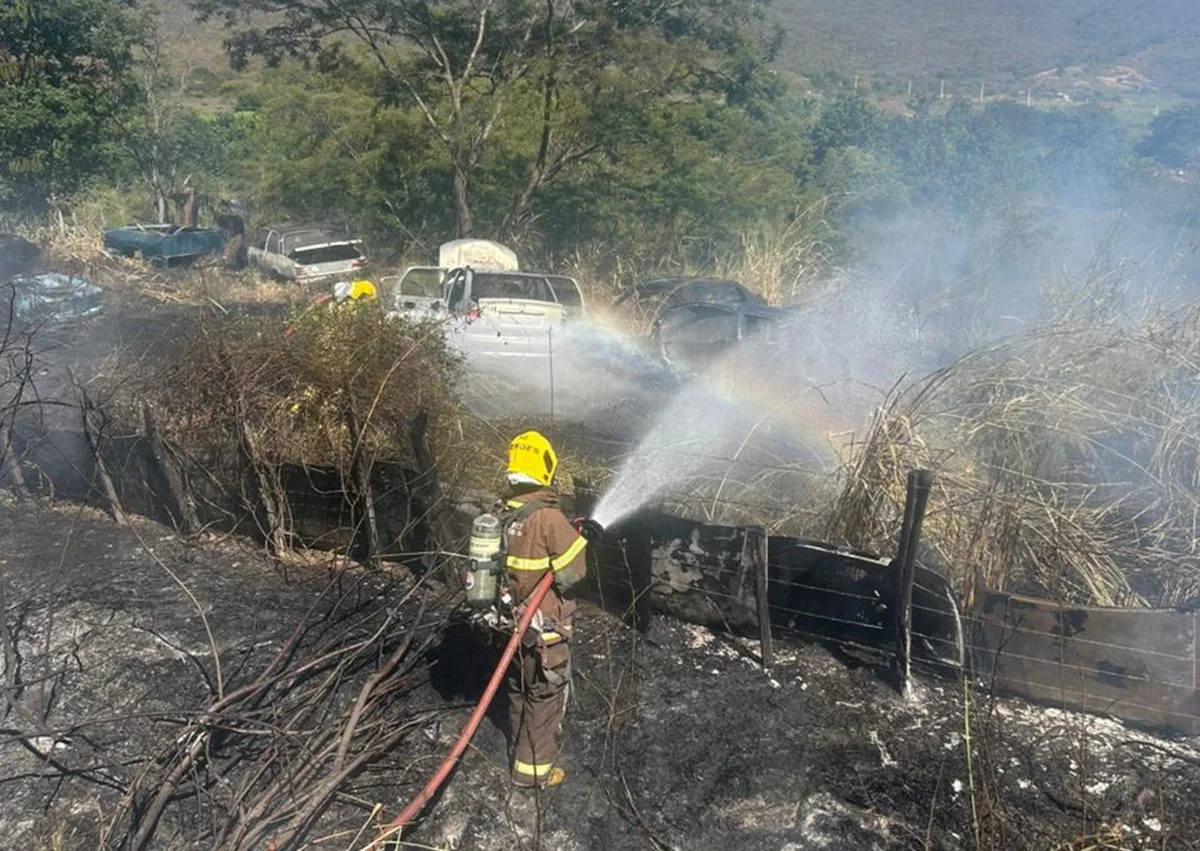A Lei de Crimes Ambientais prevê pena de dois a quatro anos de reclusão e multa para quem provocar incêndio em floresta ou outras formas de vegetação A Lei de Crimes Ambientais prevê pena de dois a quatro anos de reclusão e multa para quem provocar incêndio em floresta ou outras formas de vegetação