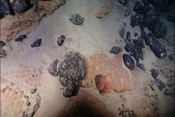 Imagem colorida tirada na Elevação do Rio Grande - Metrópoles