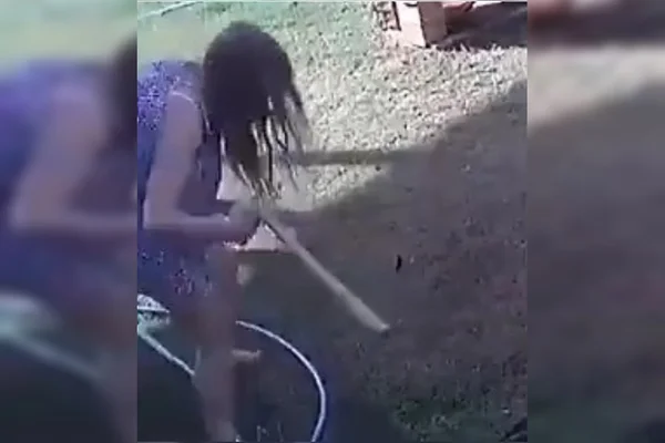 Mulher salva cãozinho de ataque de cobra com rolo de papel; veja vídeo