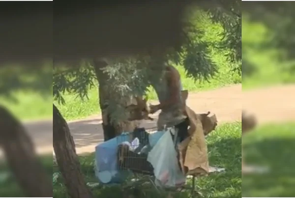 Homem é preso após arremessar cão dentro de carrinho de compras no DF