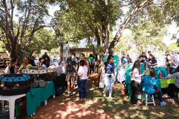 Parque da Cidade recebe feira de adoção de animais neste sábado (30/5)