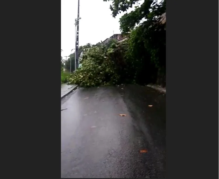 Chuva provoca queda de barreira e Bombeiros resgatam idoso em Maceió - imagem 2 Chuva provoca queda de barreira e Bombeiros resgatam idoso em Maceió - imagem 2
