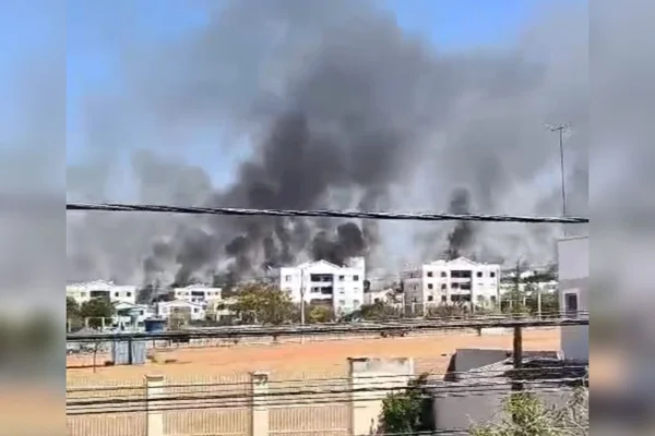 Incêndio atinge área de mata próximo a casas no DF. Veja vídeo