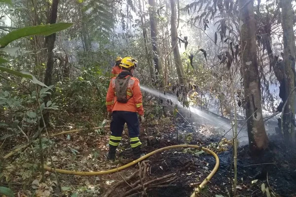 Novo incêndio atinge o Parque Ecológico de Águas Claras neste sábado