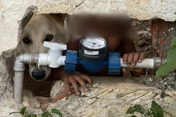Imagem Menino é encontrado pelado, sozinho e ao lado de cachorro em Alagoas - Metrópoles