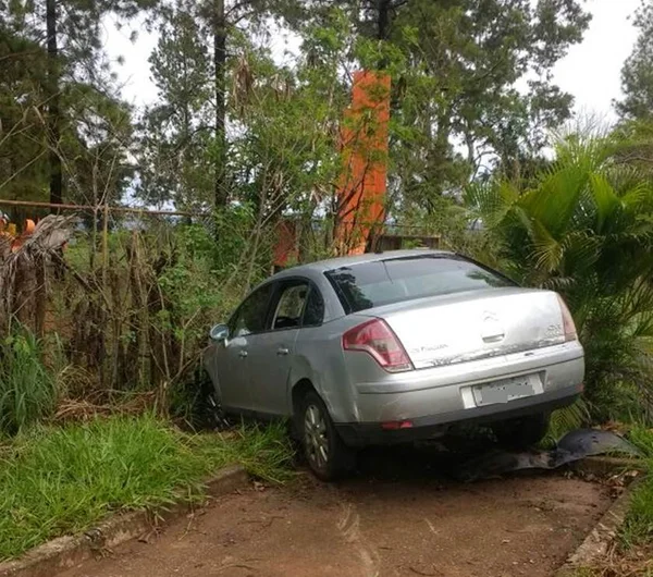 Motorista alcoolizado sobe em árvore para fugir da PM no Lago Sul