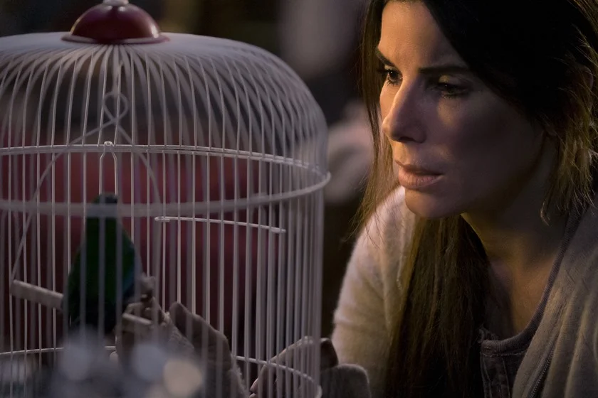 <a href="https://www.netflix.com/br/title/80196789" target="_blank"><b>Bird Box:</b></a> Uma presença leva as pessoas ao suicídio. Cinco anos depois, uma sobrevivente (Sandra Bullock) e seus dois filhos buscam um lugar de refúgio. Assista ao <a href="https://www.youtube.com/watch?v=2qPnf5zHeJg" target="_blank">trailer</a> <a href="https://www.netflix.com/br/title/80196789" target="_blank"><b>Bird Box:</b></a> Uma presença leva as pessoas ao suicídio. Cinco anos depois, uma sobrevivente (Sandra Bullock) e seus dois filhos buscam um lugar de refúgio. Assista ao <a href="https://www.youtube.com/watch?v=2qPnf5zHeJg" target="_blank">trailer</a>