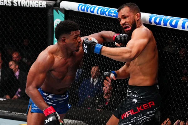 Imagem colorida de luta do UFC- Metrópoles