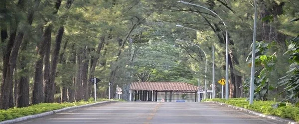 Ibaneis quer transformar residência oficial em centro de tratamento